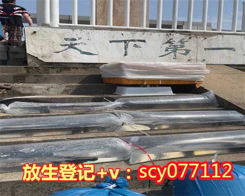 买金鱼放生有什么寓意，做梦梦见蜘蛛寓意是什么？