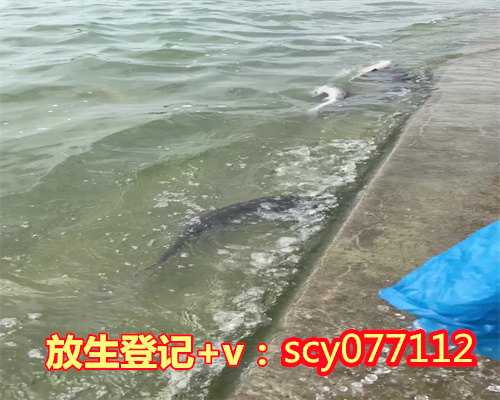 农历四月初一放生，2023年万年老黄历属相,农历2023年大年一初一属于什么生肖