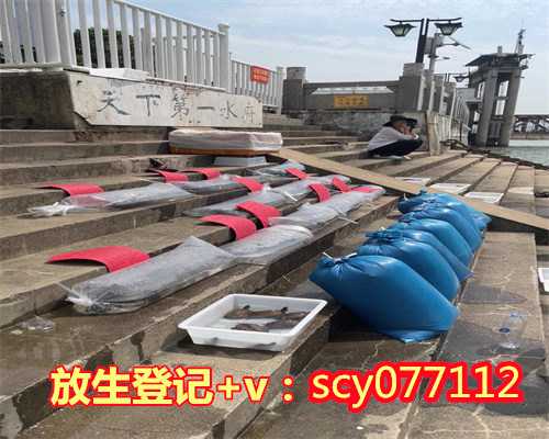 冬天能放生泥鳅么，海涛法师：口下能放生，上天放您生