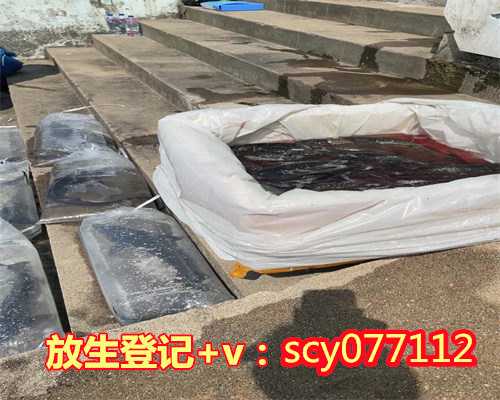 厦门哪里有放生池的地方，厦门公园放生鱼，厦门能为过生曰的亲人代放生吗