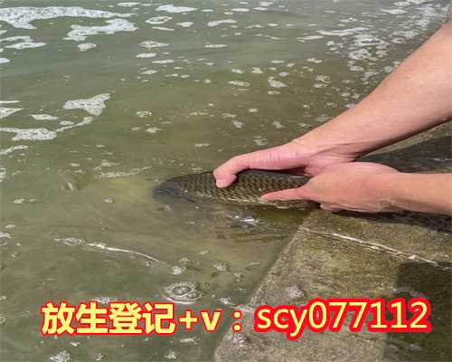 浙江放生回向家人有功德吗怎么说，浙江放生泥鳅买多少，浙江梦参老和尚开示