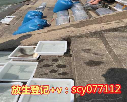 上海放生鱼一般在什么地方，应仲树委员：上海放生行为应加强规范