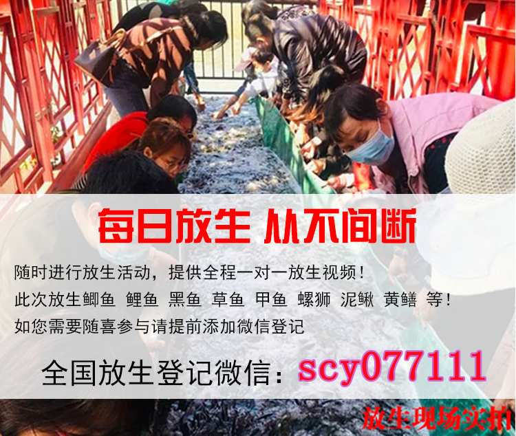 福建放生规定，宗教中国化协同创新论坛在福建福建举行