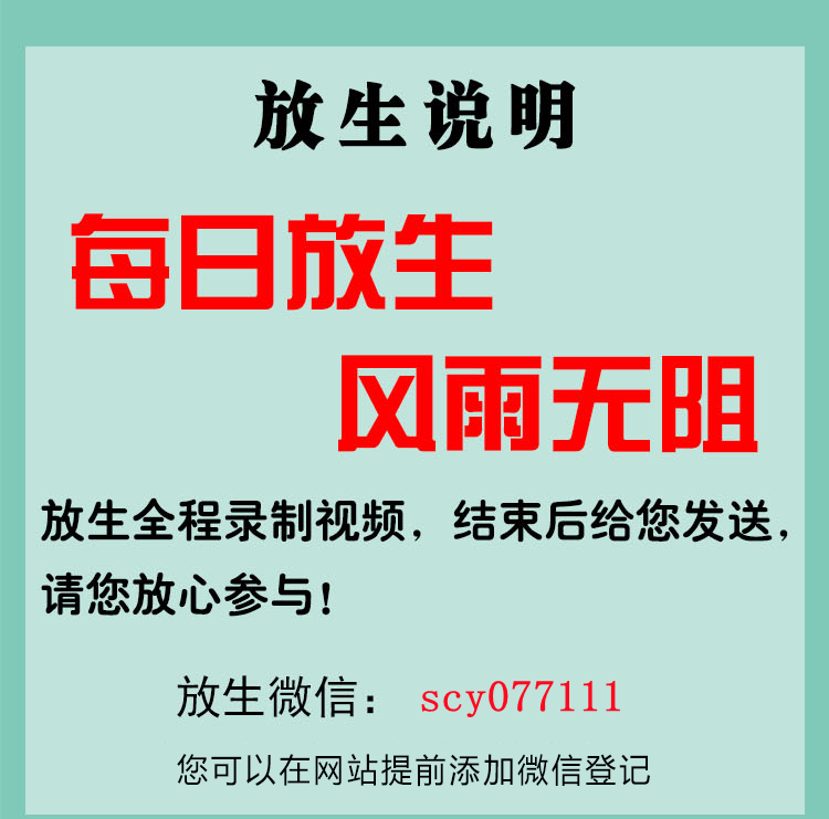 福建乌龟放生时间，福建放生鲫鱼有什么功德，坚持放生的好处