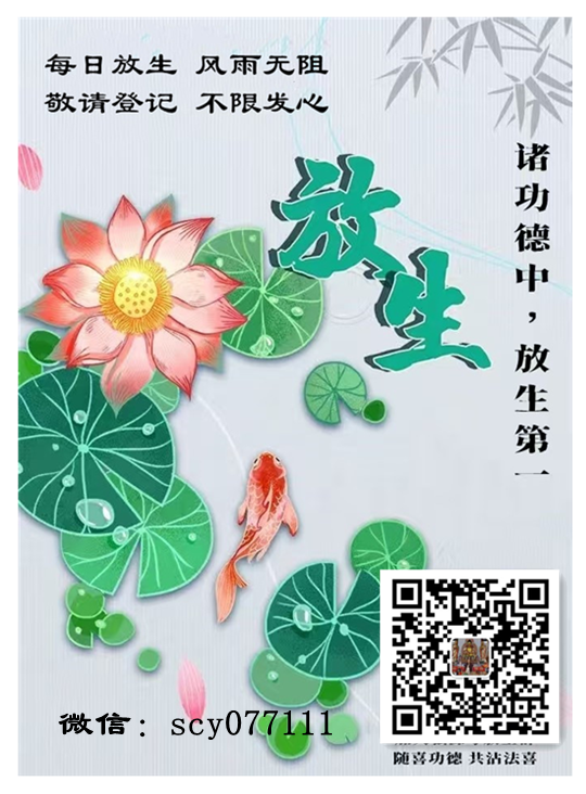 福建适合放生鱼的地方在哪里，福建有哪些好玩的地方？