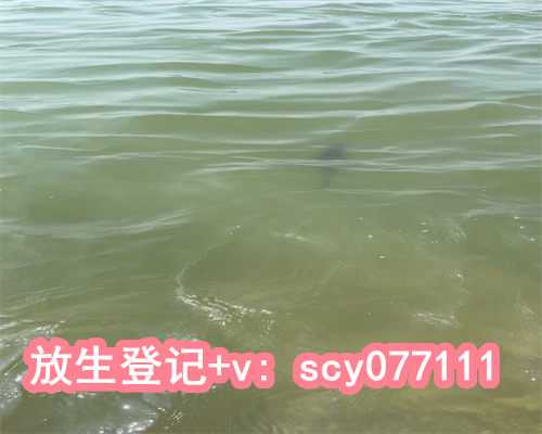 福建哪里有卖放生鸟的药，福建哪里樱花最多的地方