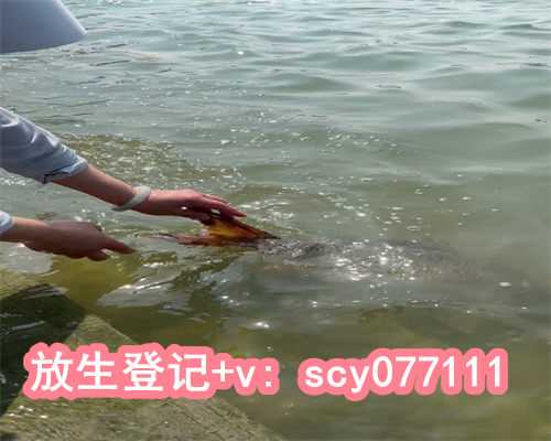 福建放生什么动物（福建金鱼放生会破坏生态吗）