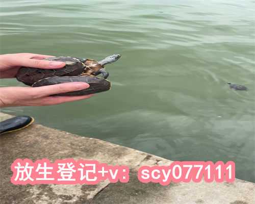 福建,道教提倡放生吗,放生乌龟为什么要写地址