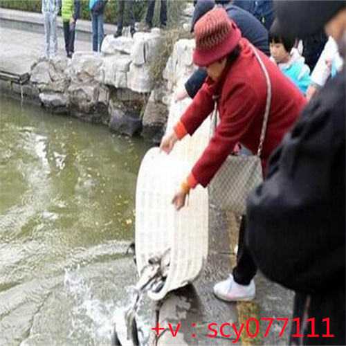 福建放生能赎罪吗，福建放生为家人祈福，福建哪里可以宣传放生