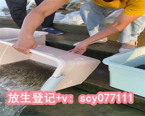 福建，放生对人有什么好处，最正确的放生仪轨及回向