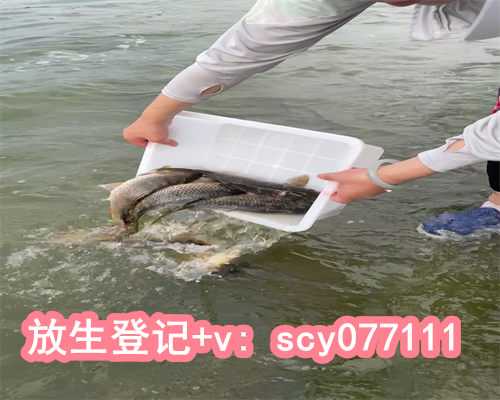 福建放生团护生园，福建代放生蛇，福建放生节放生什么好