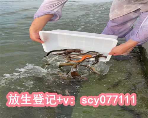 福建腊月初一放生，福建放生黄鳝到河里会死吗，福建生日当天如何放生