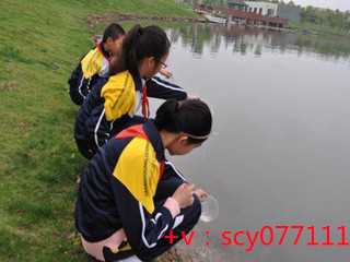 福建晚上能放生吗，福建放生乌龟放生在哪里，泥鳅能不能放生