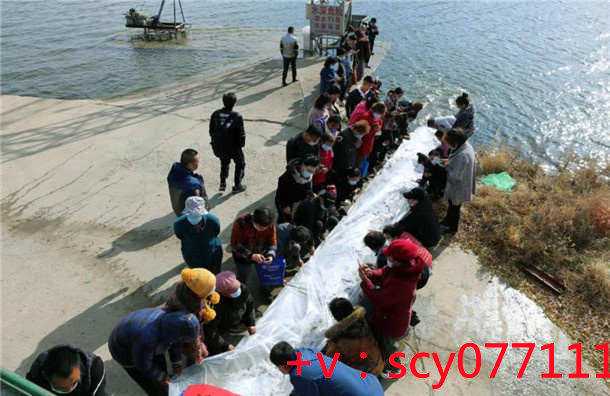 福建哪个湖可以放生乌龟，初八放生是什么意思