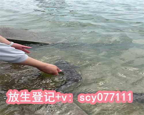 福建哪个公园可以放生鸭子，初八放生祈福