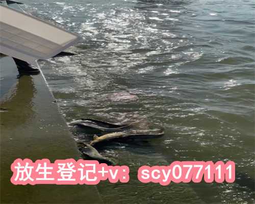 福建一般什么日子放生，初一什么时间放生最好呢