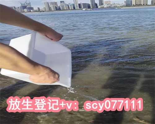 福建哪里可以放生乌龟，初一吃素放生图片