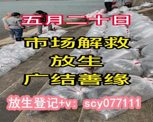 福建放生池图片（福建放生能不能回向给谋个人）