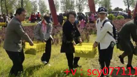 福建,代放生的词句佛教,集体放生好还是个人放生好