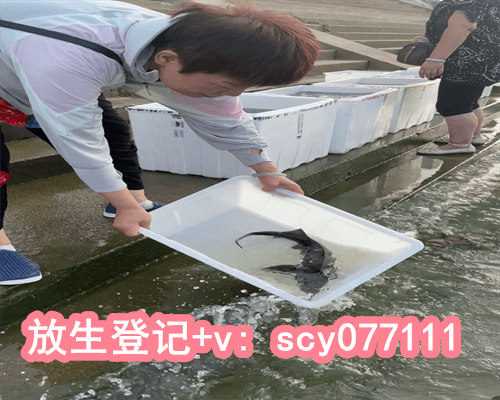 福建哪里适合放生兔子，福建寺院：建筑魅力的缩影